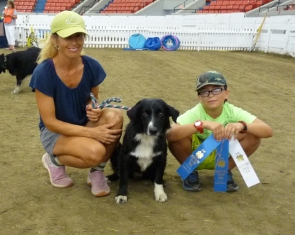 2016 State Dog show